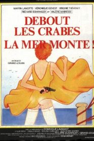Debout les crabes, la mer monte !