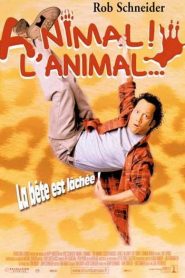 Animal ! L’animal