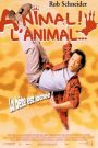 Animal ! L’animal
