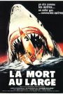 La Mort au large