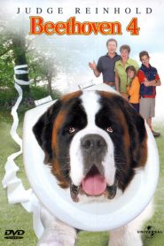 Beethoven 4