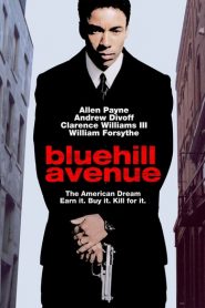 Blue Hill Avenue
