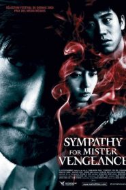 Sympathy for Mister Vengeance