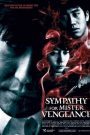 Sympathy for Mister Vengeance