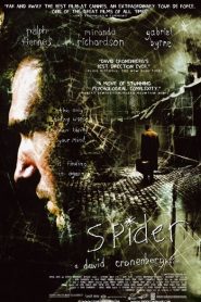 Spider
