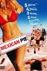 Mexican Pie