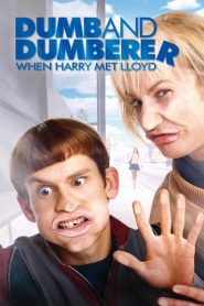 Dumb & dumberer : quand Harry rencontra Lloyd