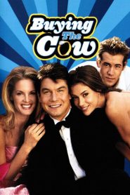 Buying the Cow