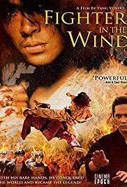 Fighter in the Wind