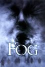 Fog