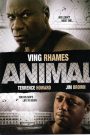 Animal