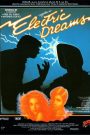 La belle et l’ordinateur