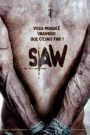 Saw V