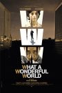 WWW: What a Wonderful World
