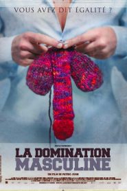 La Domination Masculine