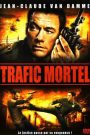 Trafic mortel