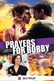 Bobby : Seul Contre Tous