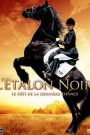 L’étalon noir, le défi de la derniere chance