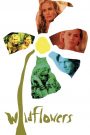 Wildflowers