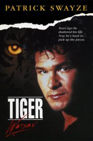 Tiger Warsaw