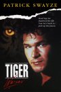 Tiger Warsaw