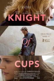 Knight of Cups
