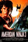 American ninja 3