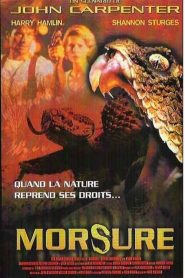 Morsure