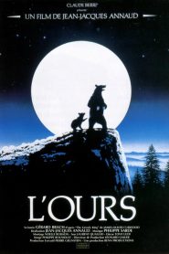 L’Ours