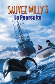 Sauvez Willy 3 : La poursuite