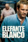 Elefante blanco