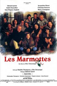 Les marmottes