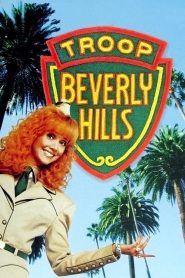 Les Scouts de Beverly Hills