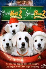 Les Chiots Noël, la relève est arrivée