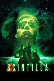 Scintilla