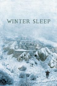 Winter sleep