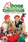 12 chiens pour Noël 2