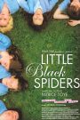 Little Black Spiders