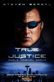 True Justice 2: Violence Of Action