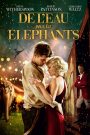 De l’eau pour les éléphants