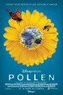 Pollen