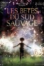 Les bêtes du sud sauvage