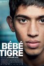 Bébé tigre