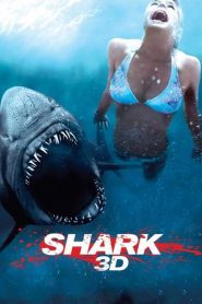 Shark 3D
