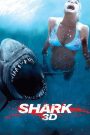 Shark 3D