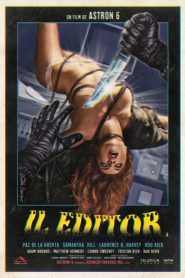 The Editor
