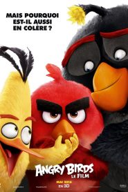 Angry Birds, le film