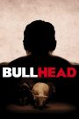Bullhead