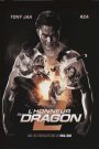 L’Honneur du dragon 2