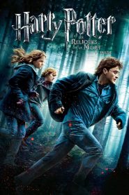 Harry Potter et les reliques de la mort – 1ère partie